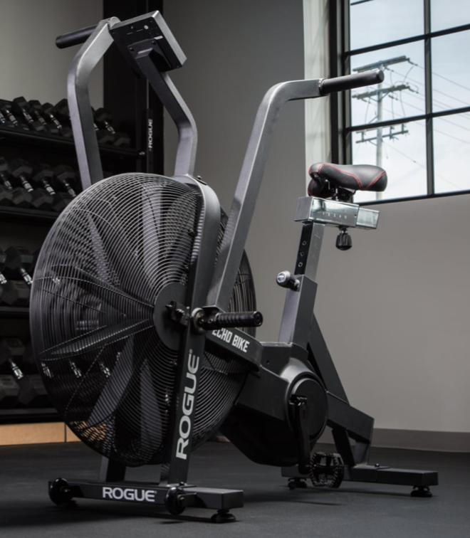 Schwinnâ€™s Airdyne AD7 vs Rogueâ€™s Echo Bike â€